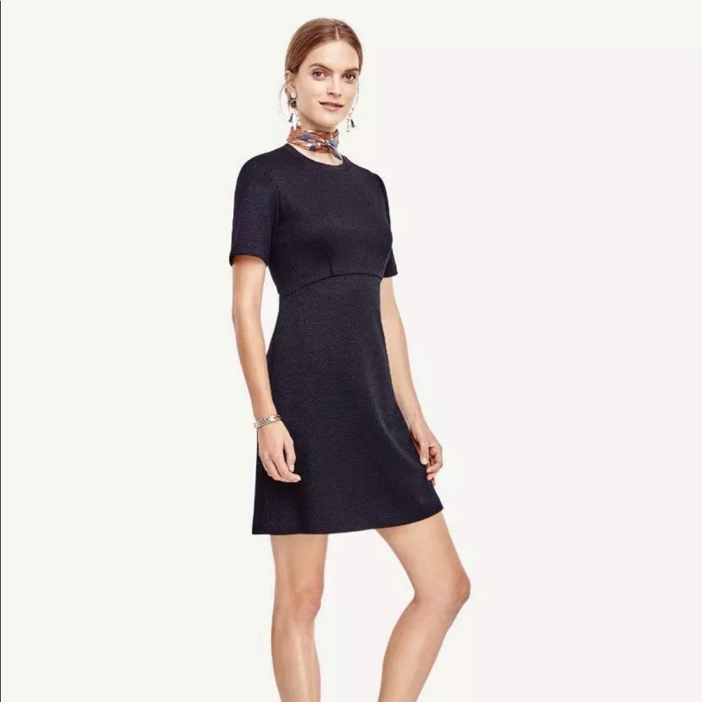 Ann Taylor navy blue textured fit & flare dress